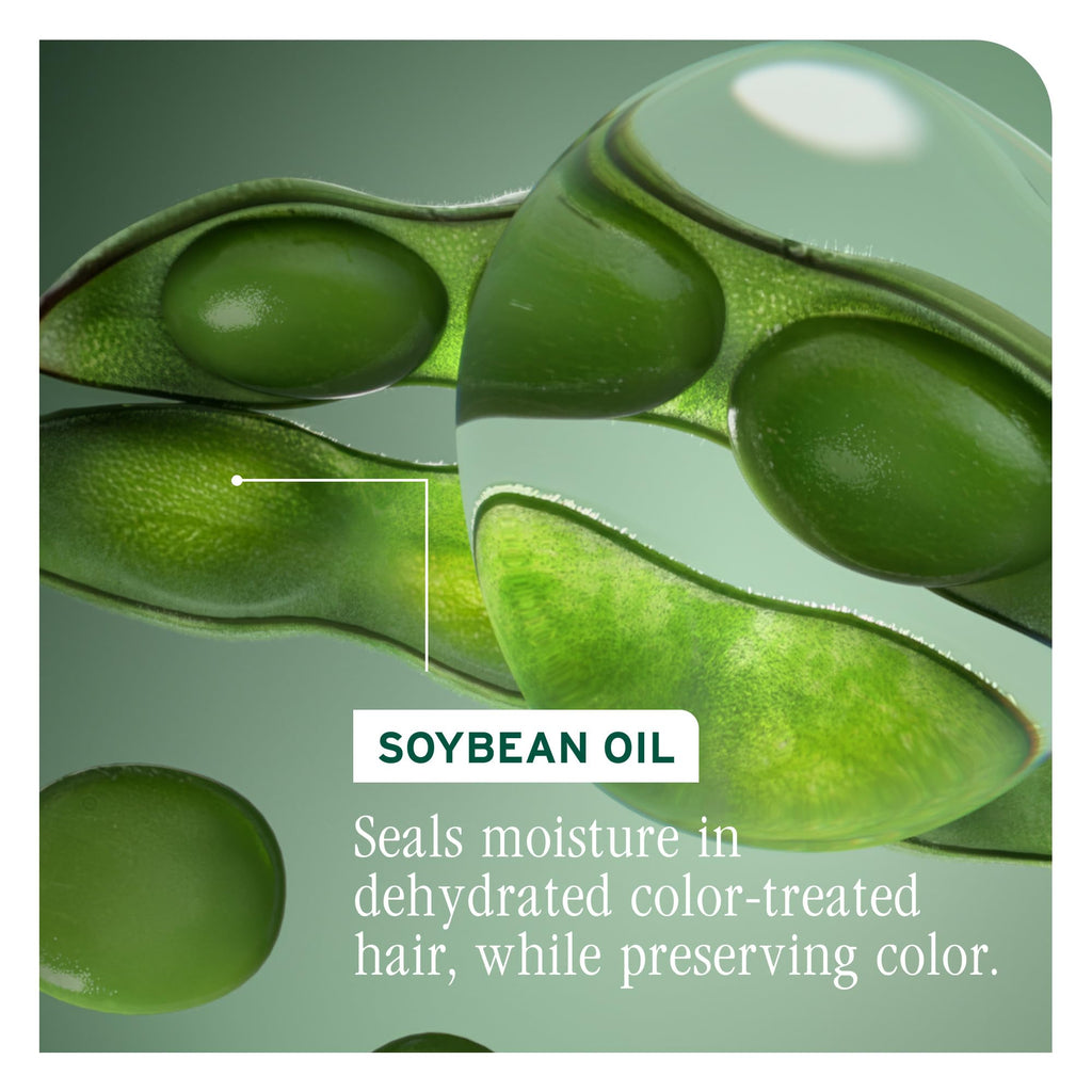 Color Protecting Conditioner for Treated Hair Care