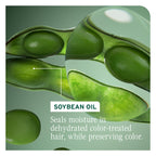 Color Protecting Conditioner for Treated Hair Care