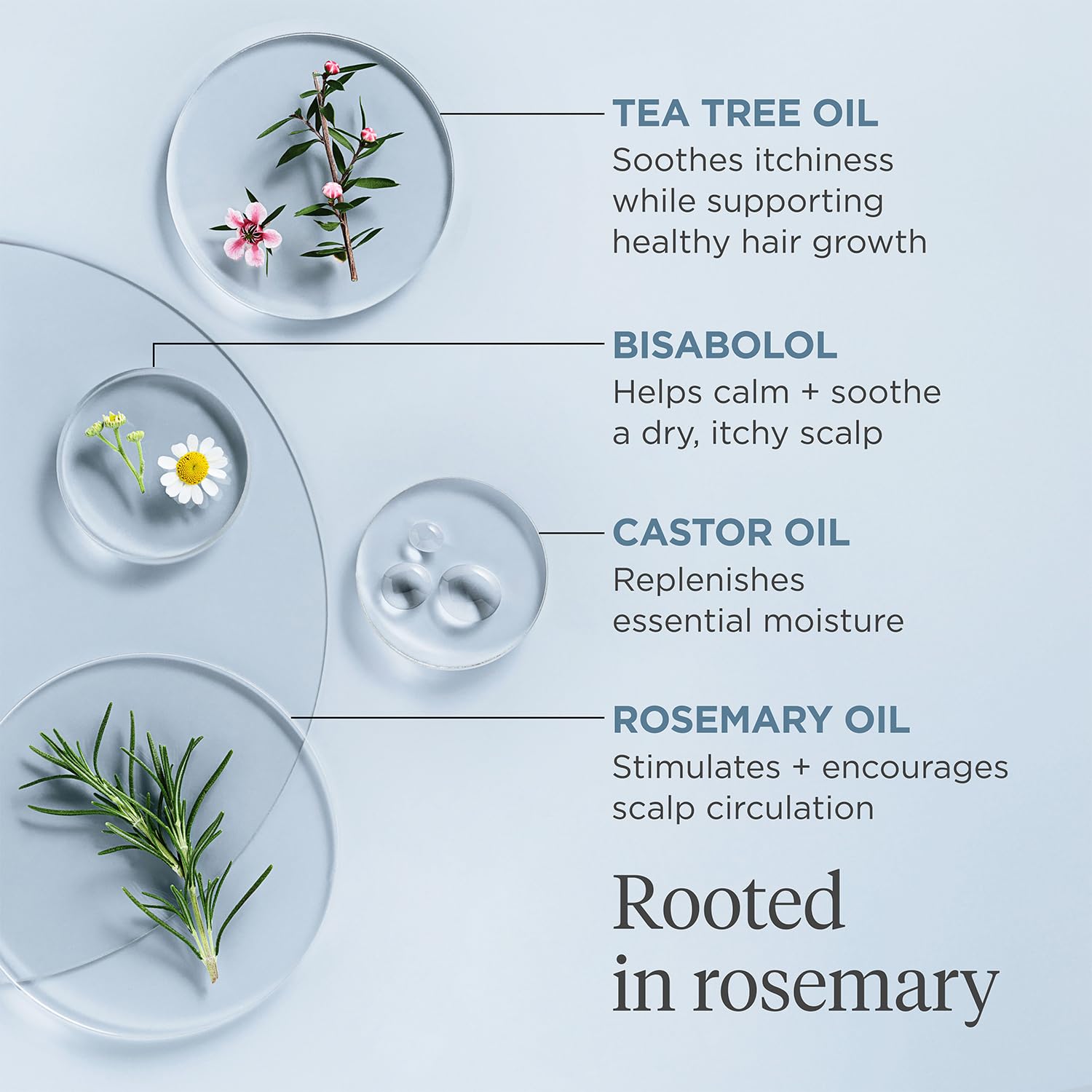 Rosemary Pre-Wash Scalp Oil for Dry & Itchy Scalp