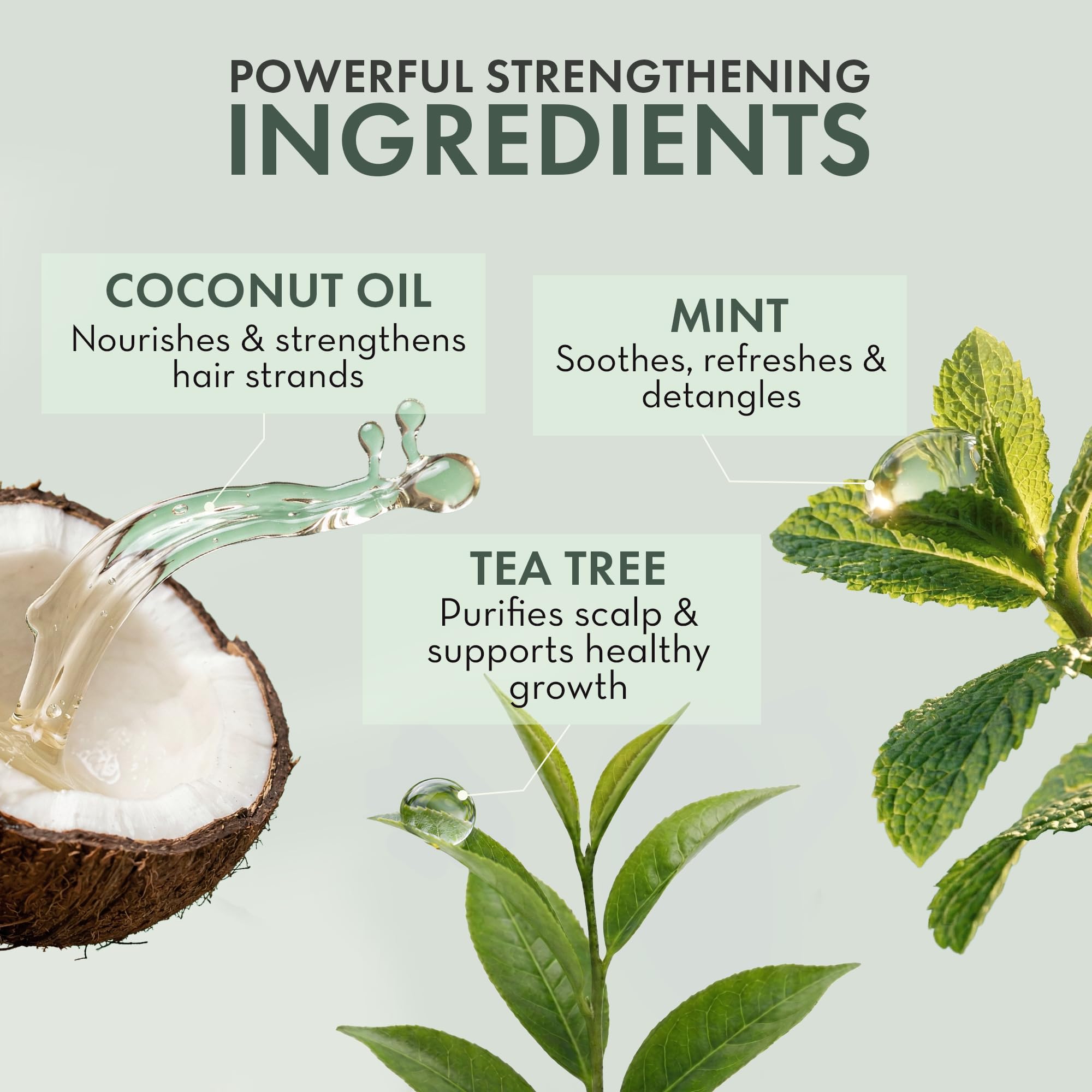 Rosemary & Tea Tree Conditioner