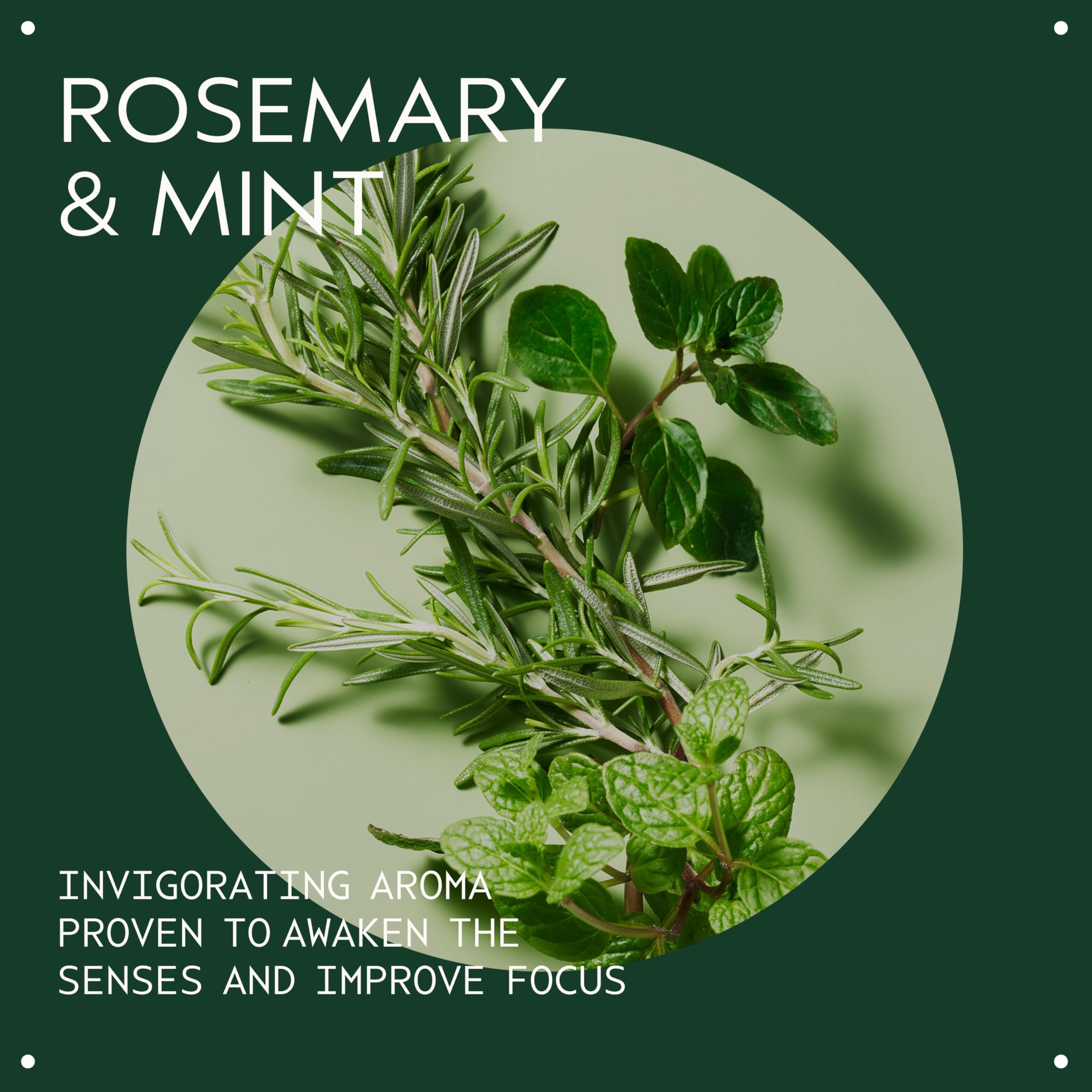 Rosemary Mint Clarifying Shampoo for Oily Hair