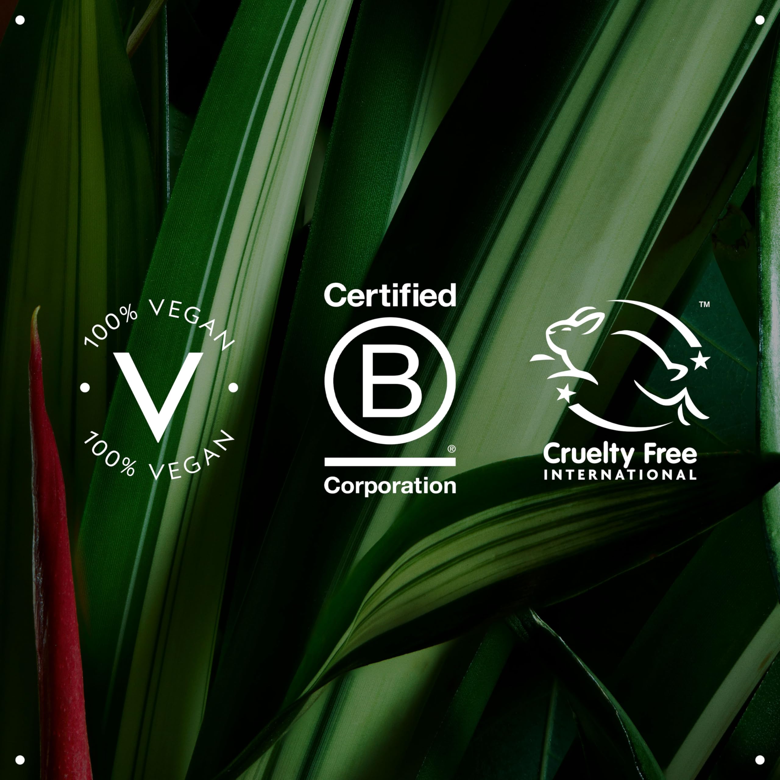 Multi-Use Hydrating Hair Oil for Dry & Damaged Hair