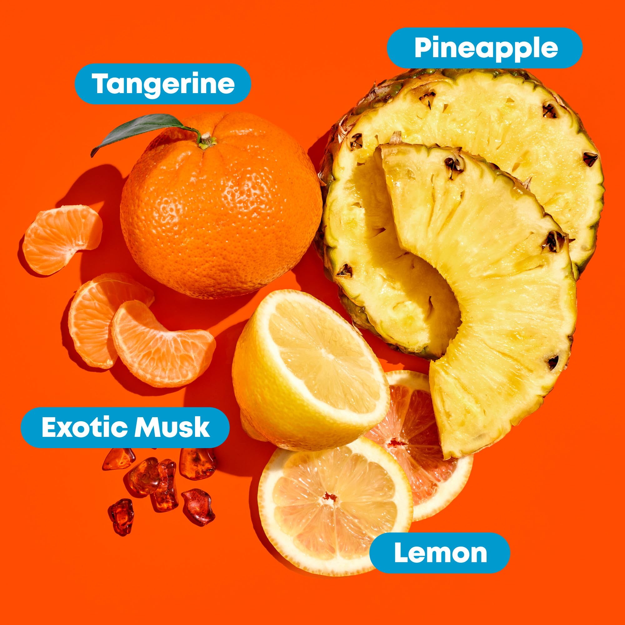 Smoothing Conditioner for Dry & Frizzy Hair Care