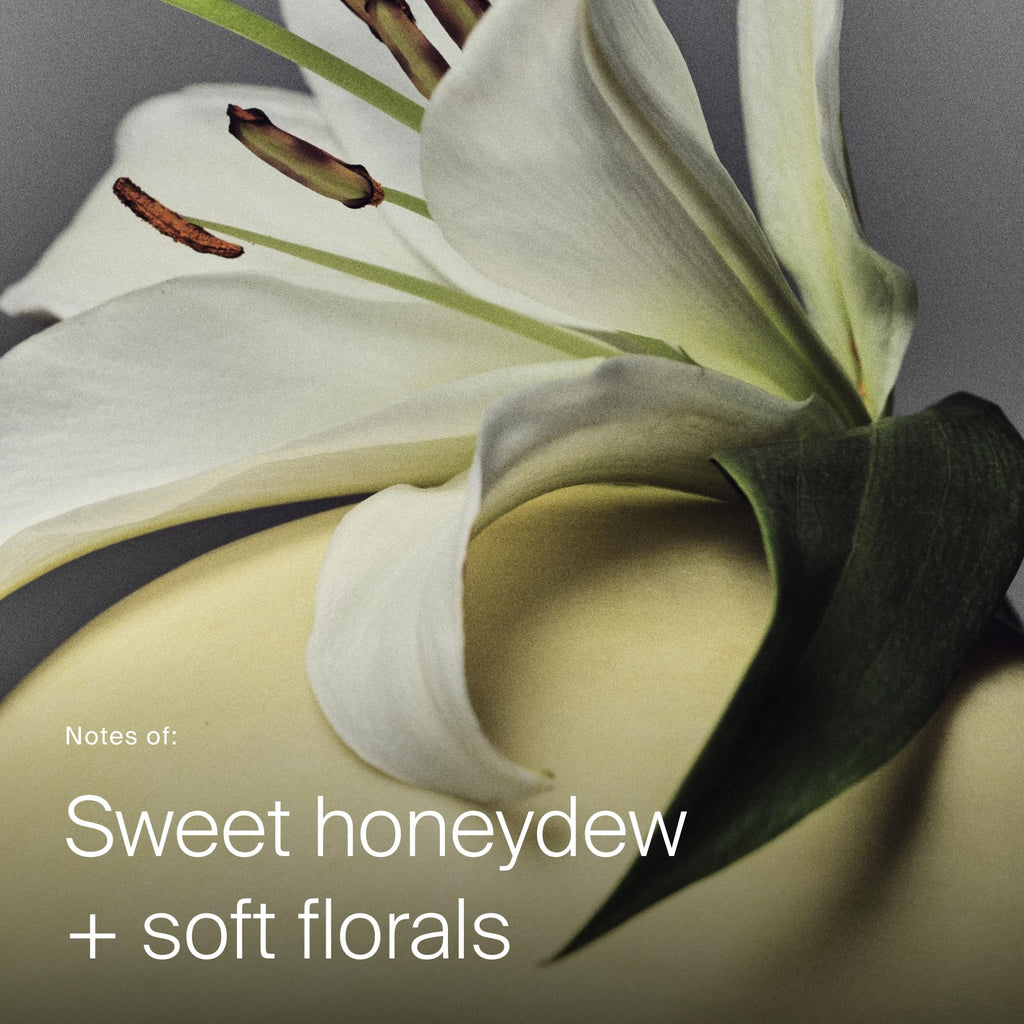 Dry Volume & Texture Spray for Fuller Hair 5.5oz