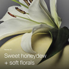 Dry Volume & Texture Spray for Fuller Hair 5.5oz