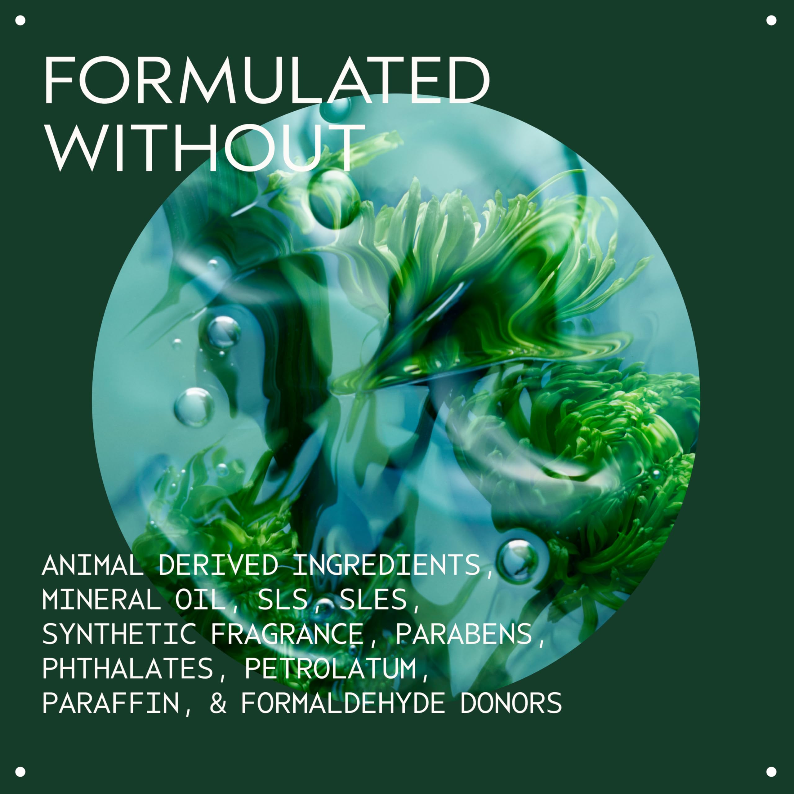 Daily Lightweight Shampoo for Hair & Scalp Care