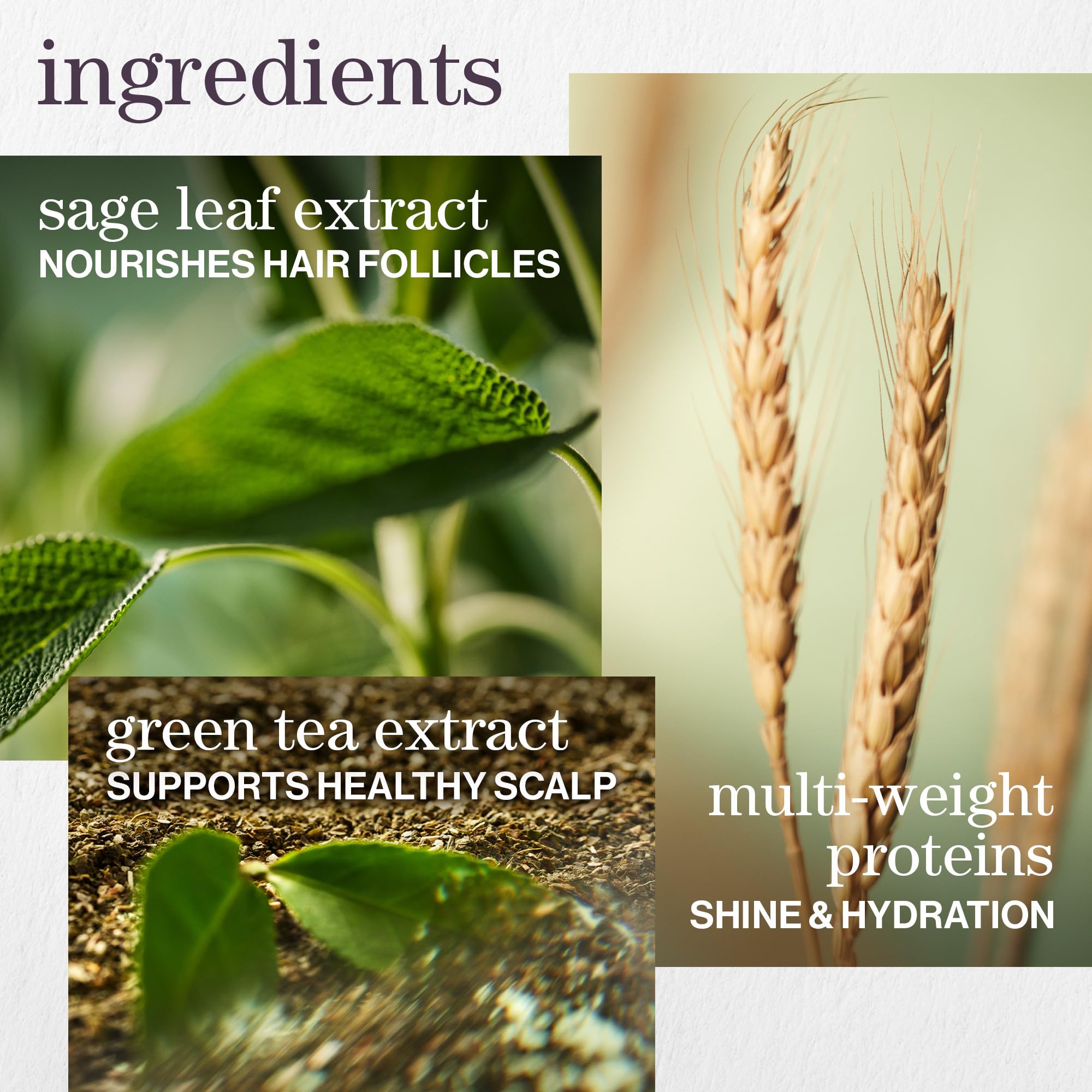 Hydrating Conditioner for Dry & Color-Treated Hair