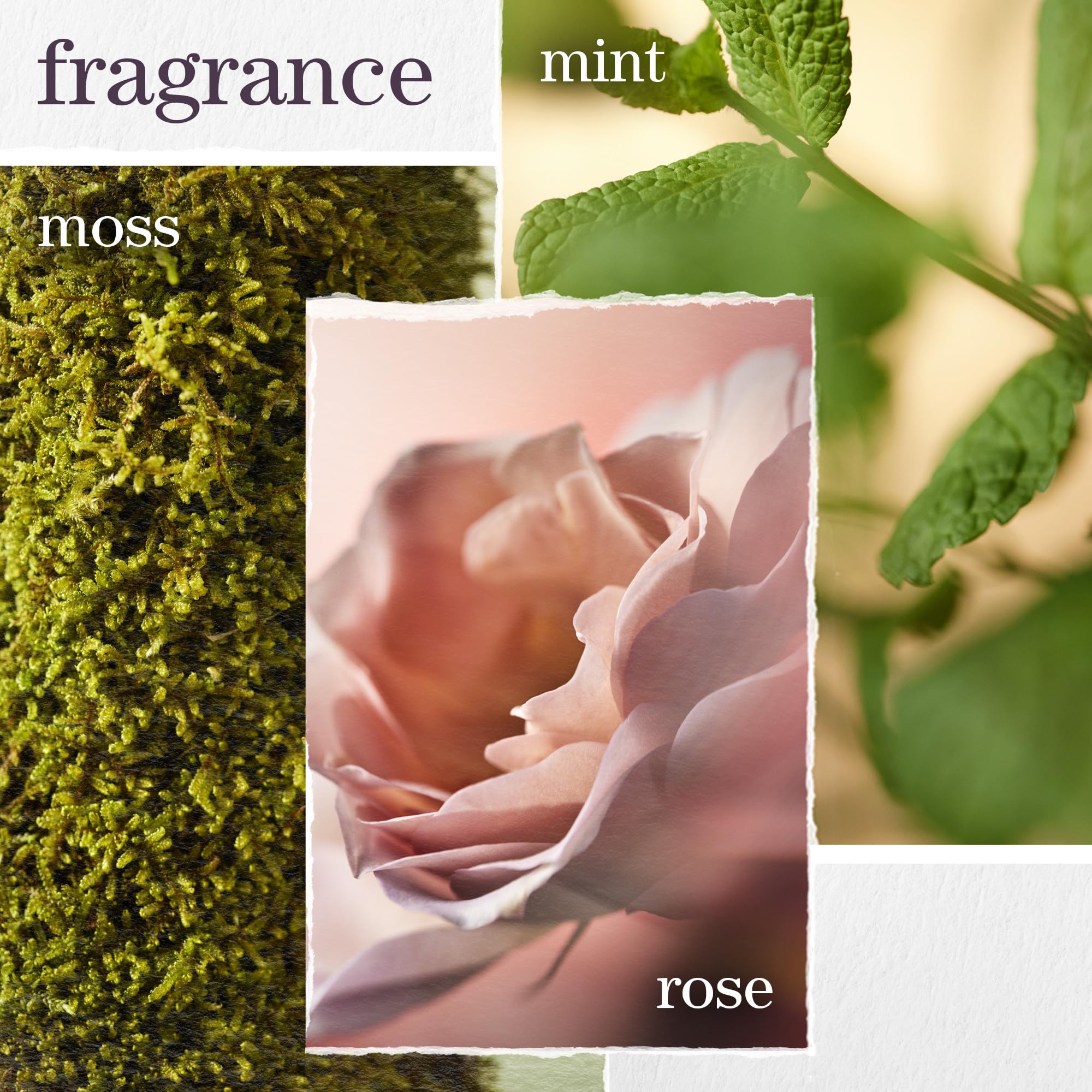 Hydrating Conditioner for Dry & Color-Treated Hair