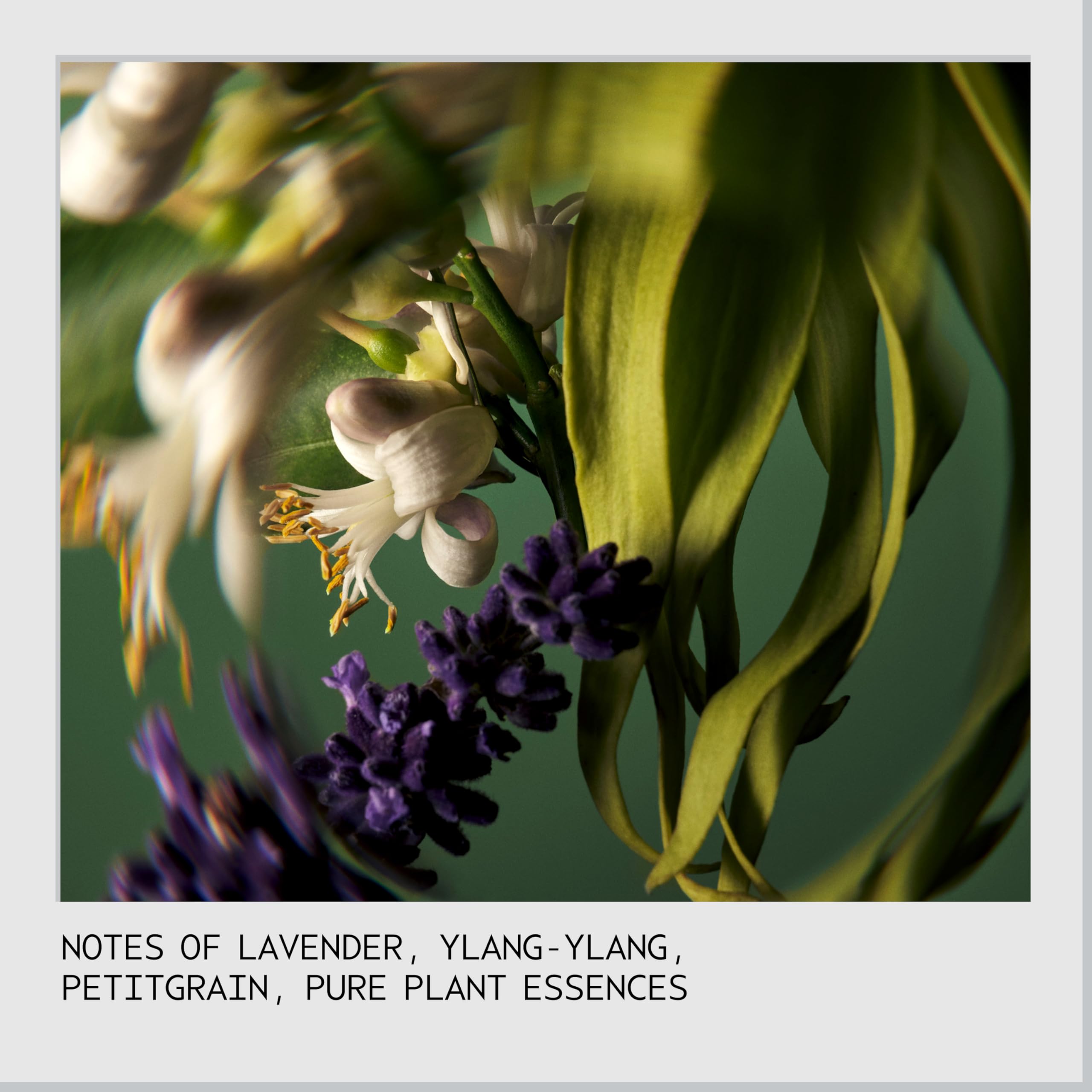 High-Shine Hair Oil for Frizz Control & Heat Care